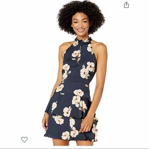 BB Dakota Gardenia Party Dress